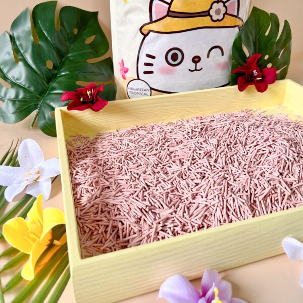 Jollycat Daizu Cat Litter 7L - Image 12